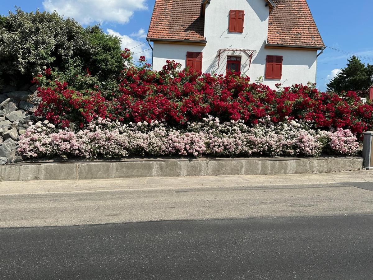 דירות Gunstett Au Parfum Des Roses מראה חיצוני תמונה