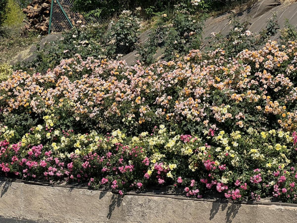 דירות Gunstett Au Parfum Des Roses מראה חיצוני תמונה
